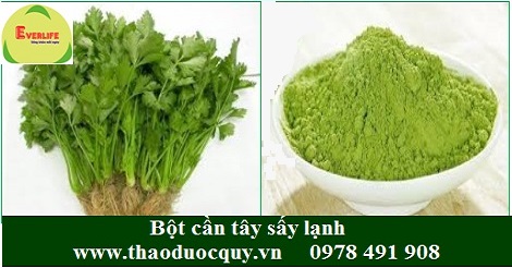 Bột cần tây sấy lạnh
