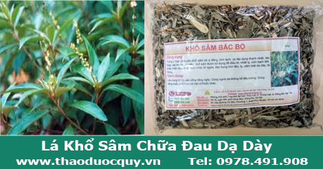 Lá Khổ Sâm