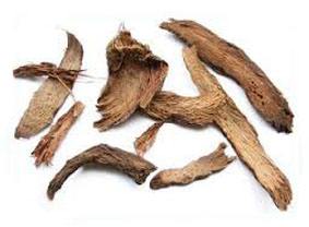 Thiên Niên Kiện - Trị Phong Thấp & Đau Nhức Xương Khớp