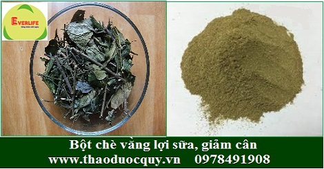 Bột chè vằng - lợi sữa, giảm cân