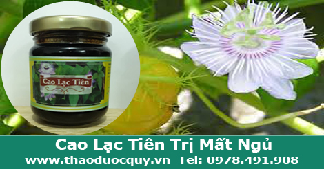 Cao Lạc Tiên Trị Mất Ngủ
