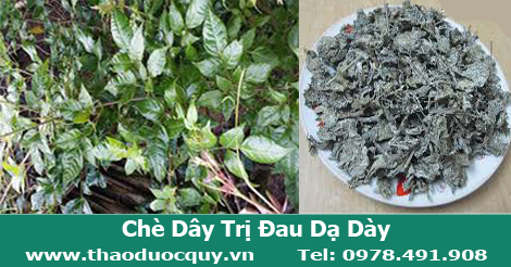 Chè Dây Sapa
