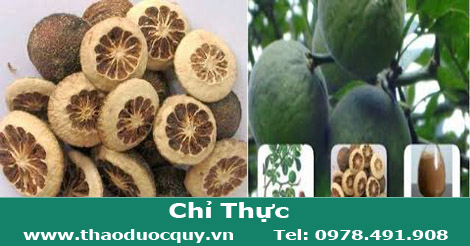 Chỉ thực