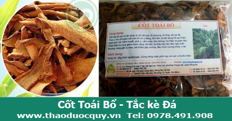 Cốt Toái Bổ - Bổ Thận - Mạnh Gân Xương
