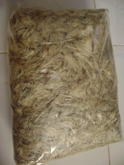 Nhụy hoa Atiso khô