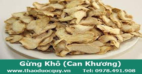 Can khương/ Gừng khô Can khương/ Gừng khô