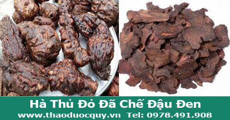 Hà Thủ Ô Đỏ Sapa - Đã Chế Với Đậu Đen