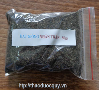 Hạt Giống Cây Nhân Trần