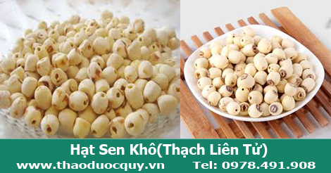 Hạt sen/Liên tử/ Thach liên tử