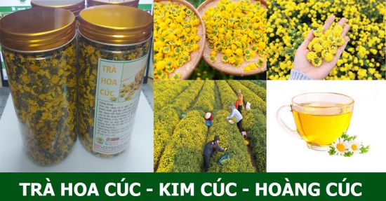 TRÀ HOA CÚC/ KIM CÚC/ HOÀNG CÚC NGUYÊN BÔNG