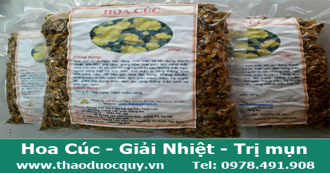 Trà Hoa Cúc/ Kim cúc /Hoàng cúc