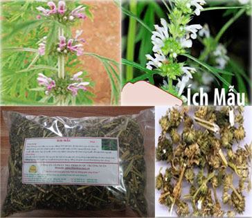 Ích Mẫu - Hoạt huyết điều kinh