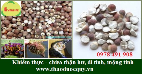 Khiếm thực/ Hạt súng