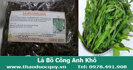 Lá Bồ Công Anh Khô