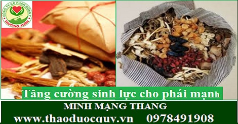 Minh mạng thang - Bổ thận tráng dương