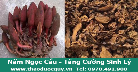 Nấm Ngọc Cẩu Khô