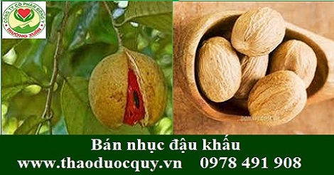Nhục đậu khấu