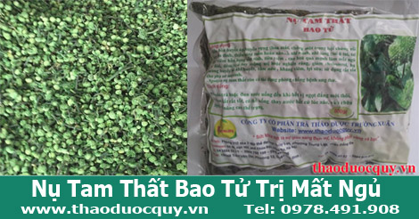 Nụ Hoa Tam Thất Bao Tử
