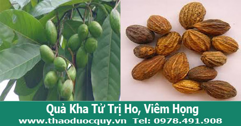 Kha tử