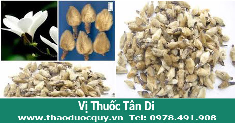 Tân di