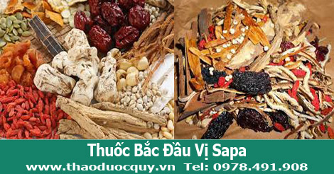Thập toàn đại bổ - Thuốc Bắc Đầu Vị Sa Pa