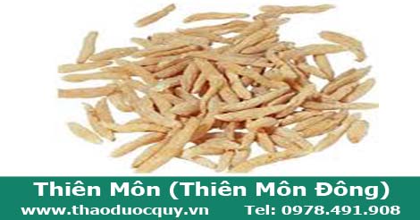 Thiên môn/ Thiên môn đông