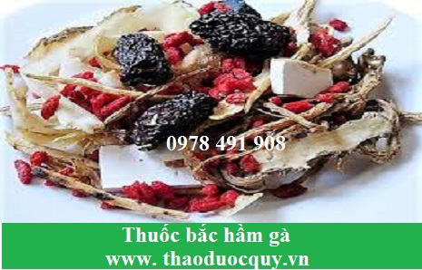Thuốc bắc hầm gà/ Thuốc bắc tần gà