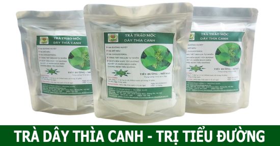 Trà Dây Thìa Canh trị Tiểu Đường