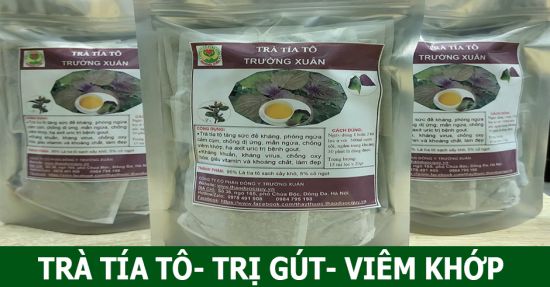 Trà tía tô (túi lọc)- Trị bệnh gout ( gút), viêm khớp