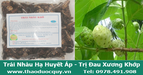 Trái nhàu khô