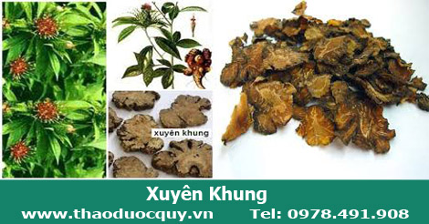 Xuyên Khung