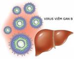 Các nguyên nhân gây bệnh viêm gan B