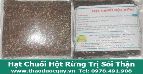 Hạt chuối thột rừng trị sỏi thận