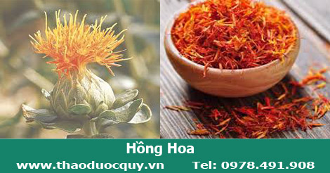 Hồng Hoa