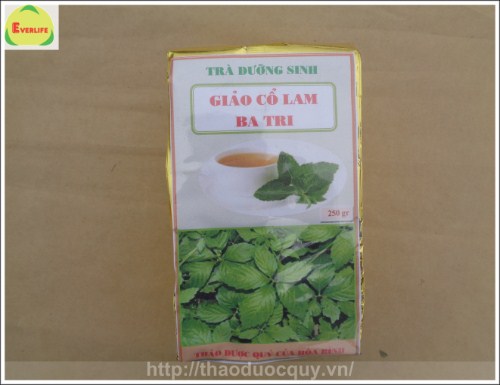 giảo cổ lam h&ograve;a b&igrave;nh, giảo cổ lam ba tri