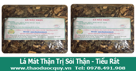 h&igrave;nh ảnh cho l&aacute; m&aacute;t thận sapa